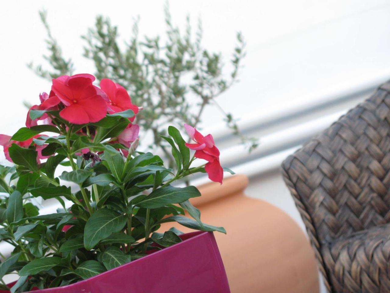 Mama Suite Lecce Dış mekan fotoğraf